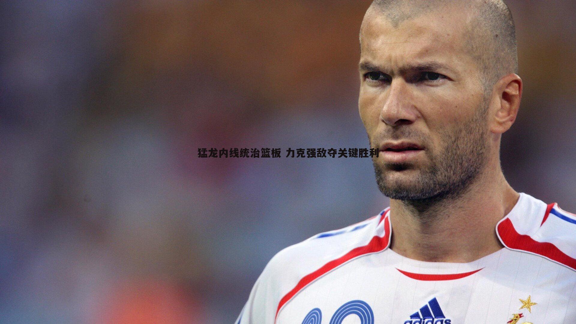 猛龙内线统治篮板 力克强敌夺关键胜利